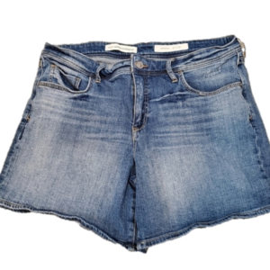 PILCRO and the Letterpress Conservative Jean Shorts
